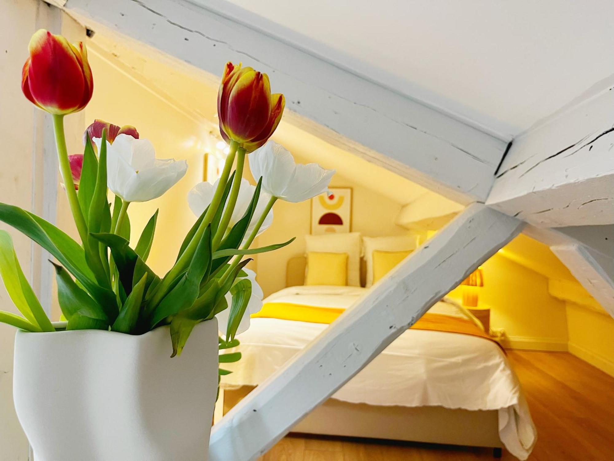 Apartment Dorset Lyon